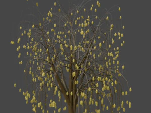 Дерево Плакуча верба 3D Модель