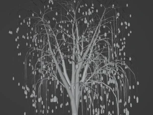 Tree Weeping willow 3D Model