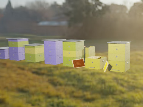Beehive Model 3D