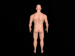 Character Model 3D