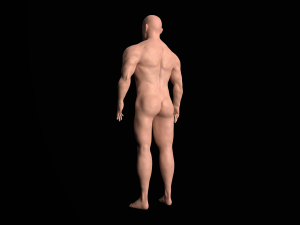 Character Model 3D