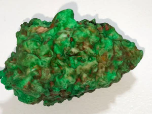 BUD WEED 3D Print Model