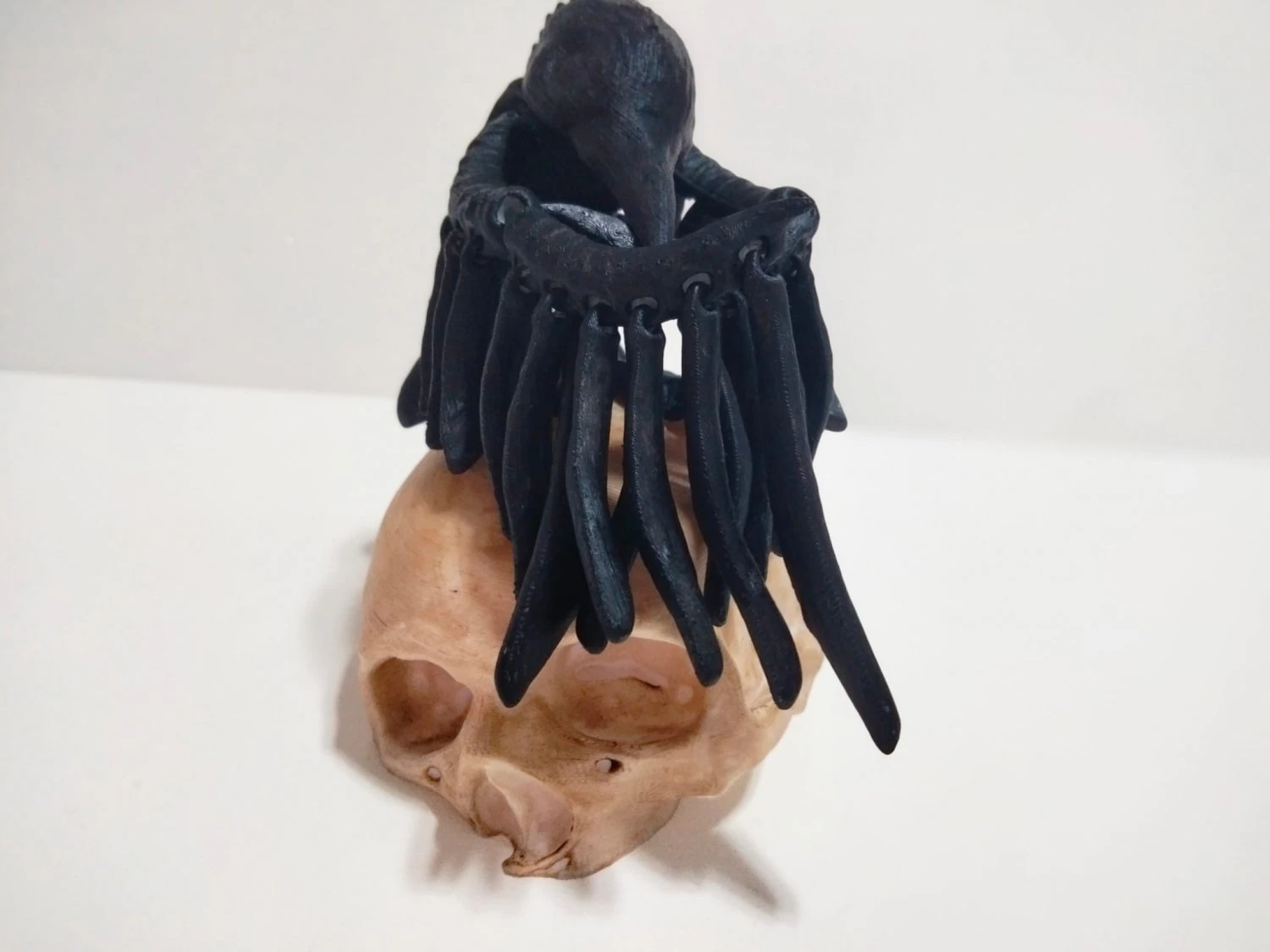 RAVEN CROW SKULL FLEXY 3D Print Model .c4d .max .obj .3ds .fbx .stl .blend 