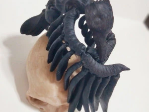 RAVEN CROW SKULL FLEXY 3D Print Model