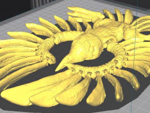 RAVEN CROW SKULL FLEXY 3D Print Model