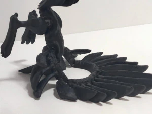 RAVEN CROW SKULL FLEXY 3D Print Model