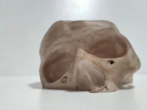 RAVEN CROW SKULL FLEXY 3D Print Model
