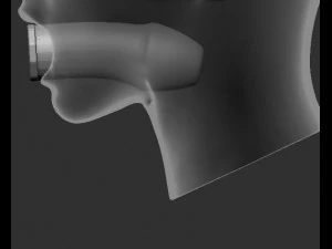 DILDOS PLUGS GAGS 3D Print Model