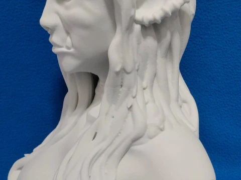 BUSTO ORCA GUAPA 3D Print Model