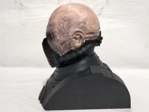 DARTH MALUS BUST 3D Print Model