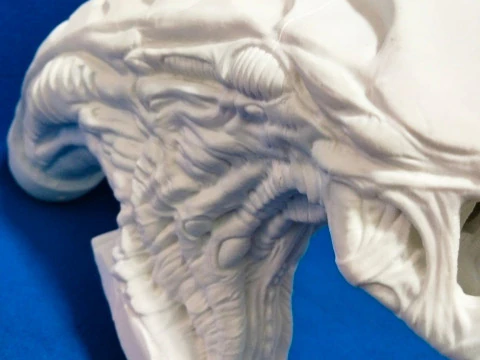 Alien Bust 3D Print Model