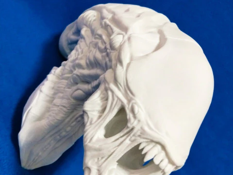 Alien Bust 3D Print Model