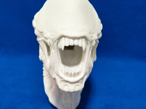Alien Bust 3D Print Model