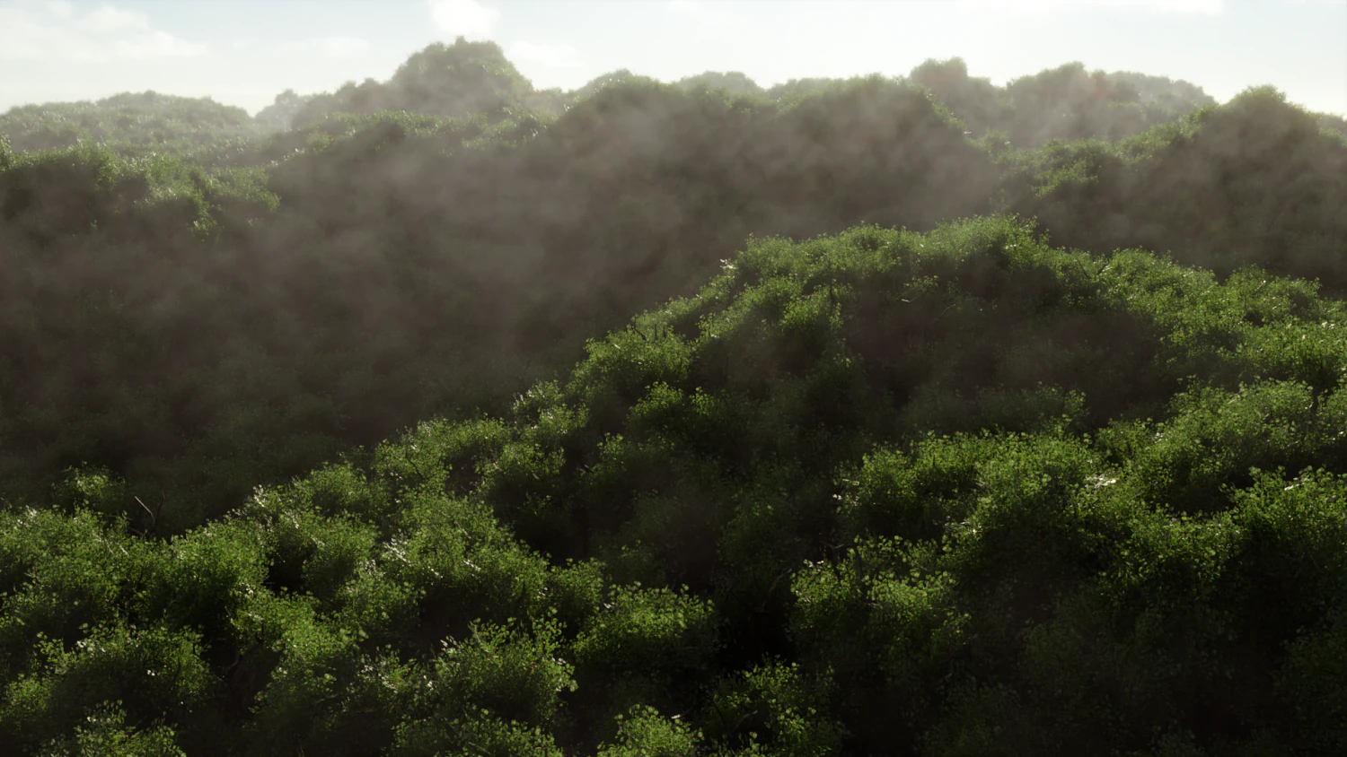 Floresta Modelo 3D .c4d .max .obj .3ds .fbx .stl .blend 