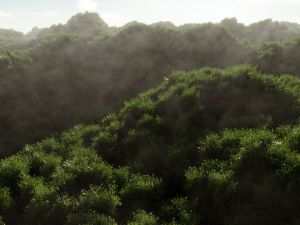 Forest 3D Model