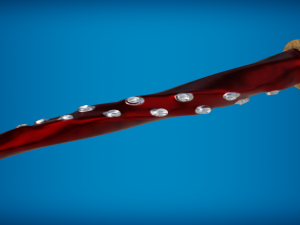 Squid sword PBR low-poly game ready 3D Model