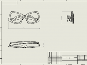 Unisex sunglasses WILD CAT model1 3D Print Model