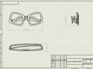Unisex sunglasses WILD CAT model1 3D Print Model