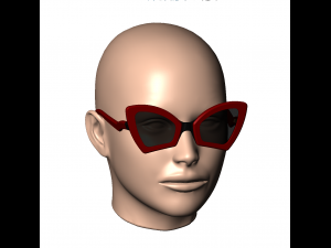 Womens sunglasses sunnies WILD CAT - 4 3D Принт Модель