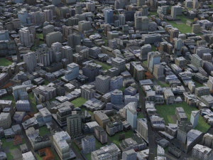 City 49 3D Model