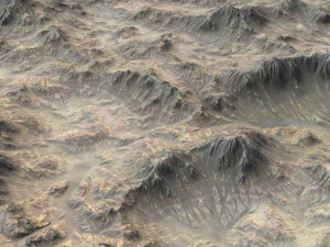 Desert land 06 3D Model