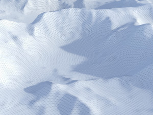 Landscape 81 Model 3D