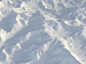 Landscape 85 Model 3D