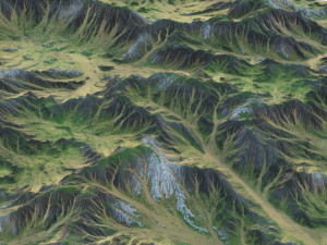 Landscape 88 3D Model