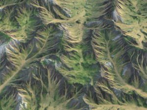 Landscape 88 3D Model