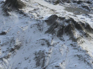 Landscape 95 3D Model
