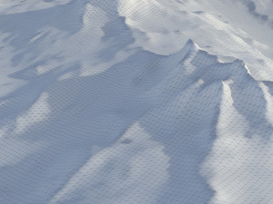 Landscape 95 Model 3D