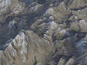 Landscape 96 3D Model
