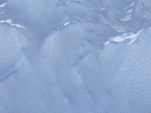Landscape 96 3D Model