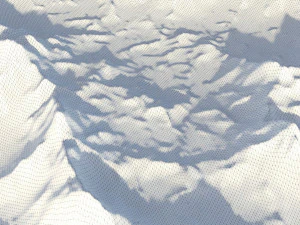 Landscape 101 3D Model