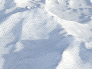 Landscape 103 3D Model
