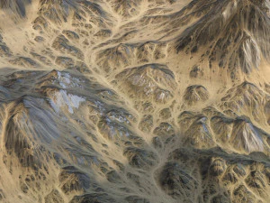 Landscape 109 3D Model