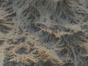 Landschap 110 3D Model