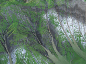 Landscape 113 3D Model