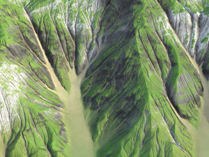 Landscape 113 3D Model