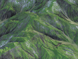 Landscape 113 3D Model