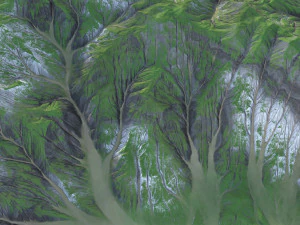 Landscape 113 3D Model
