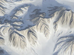 Landscape 121 3D Model