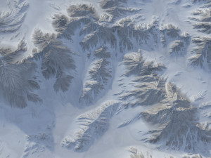 Landscape 121 3D Model