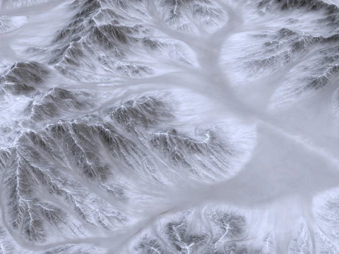 Landscape 123 3D Model