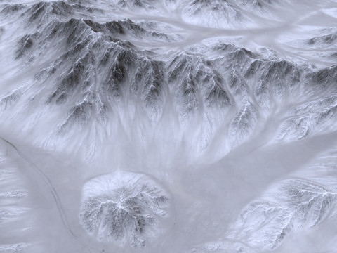 Landscape 123 3D Model