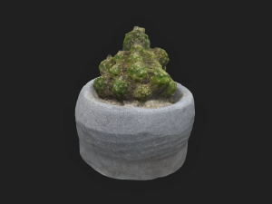 Cactus 3D 模型