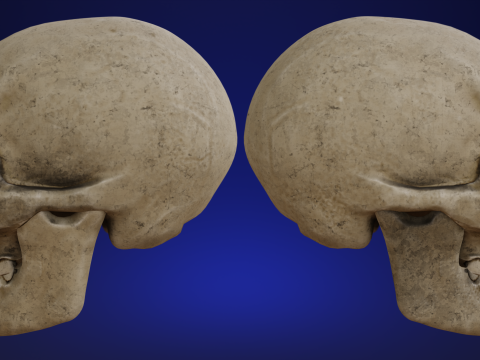Mid-Poly Skull Model 3D