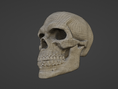 Mid-Poly Skull Model 3D