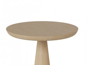 버섯 커피 테이블 3D 모델