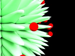 Bacterium 3Dモデル